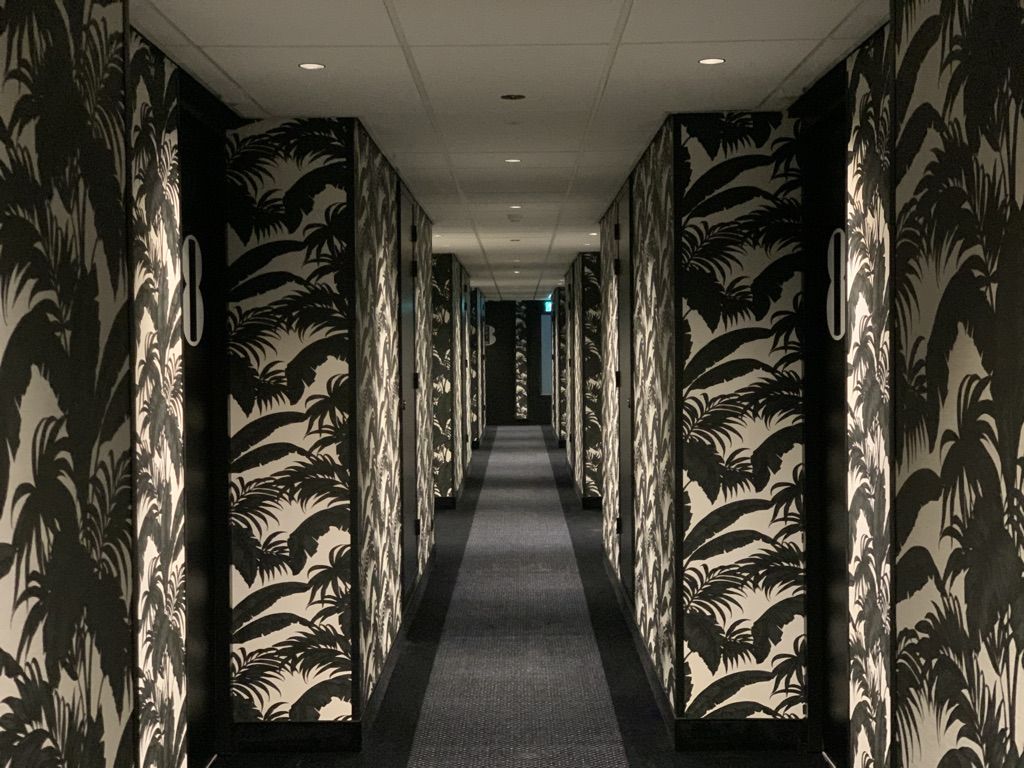 Hovedbildet