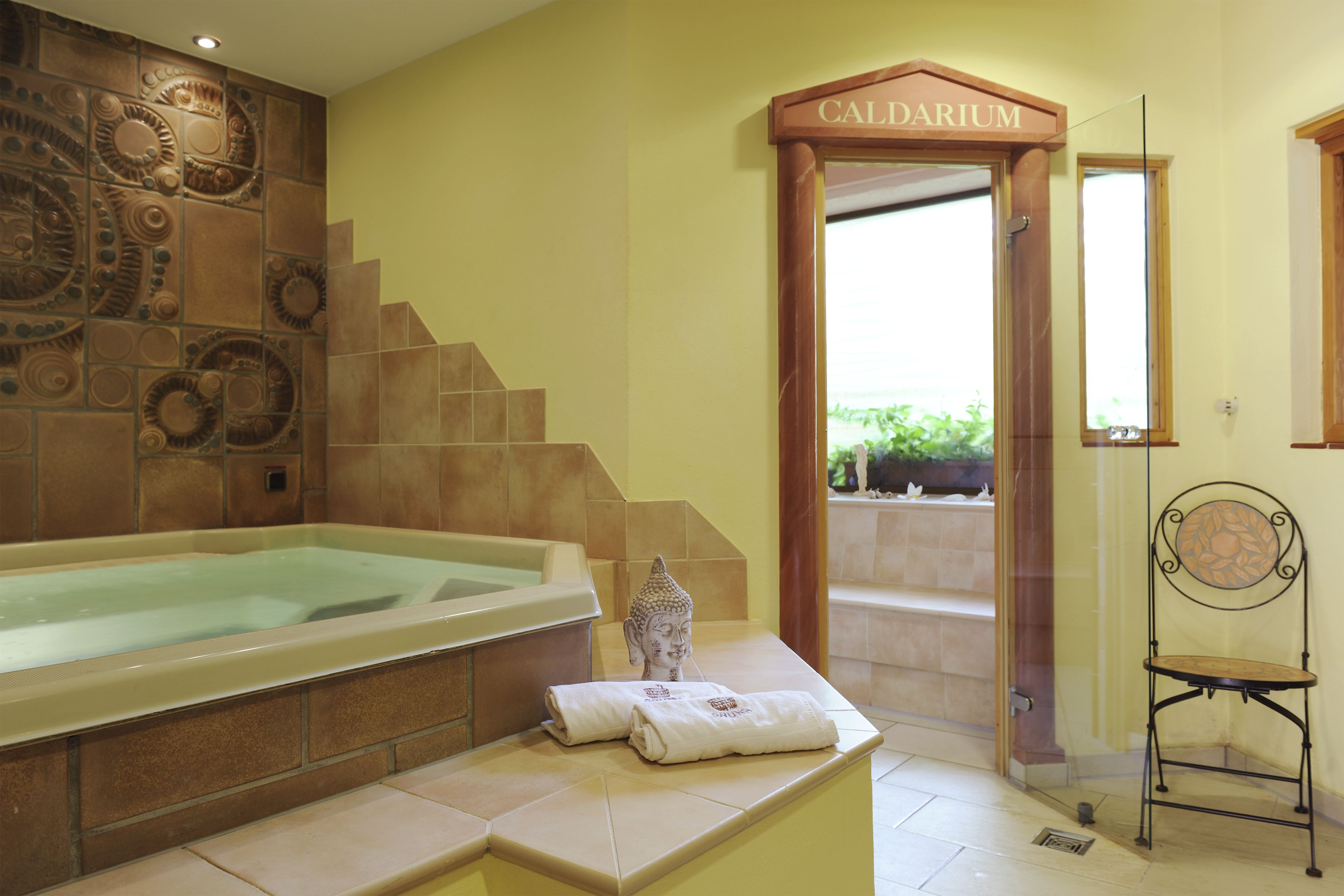 category_wellness