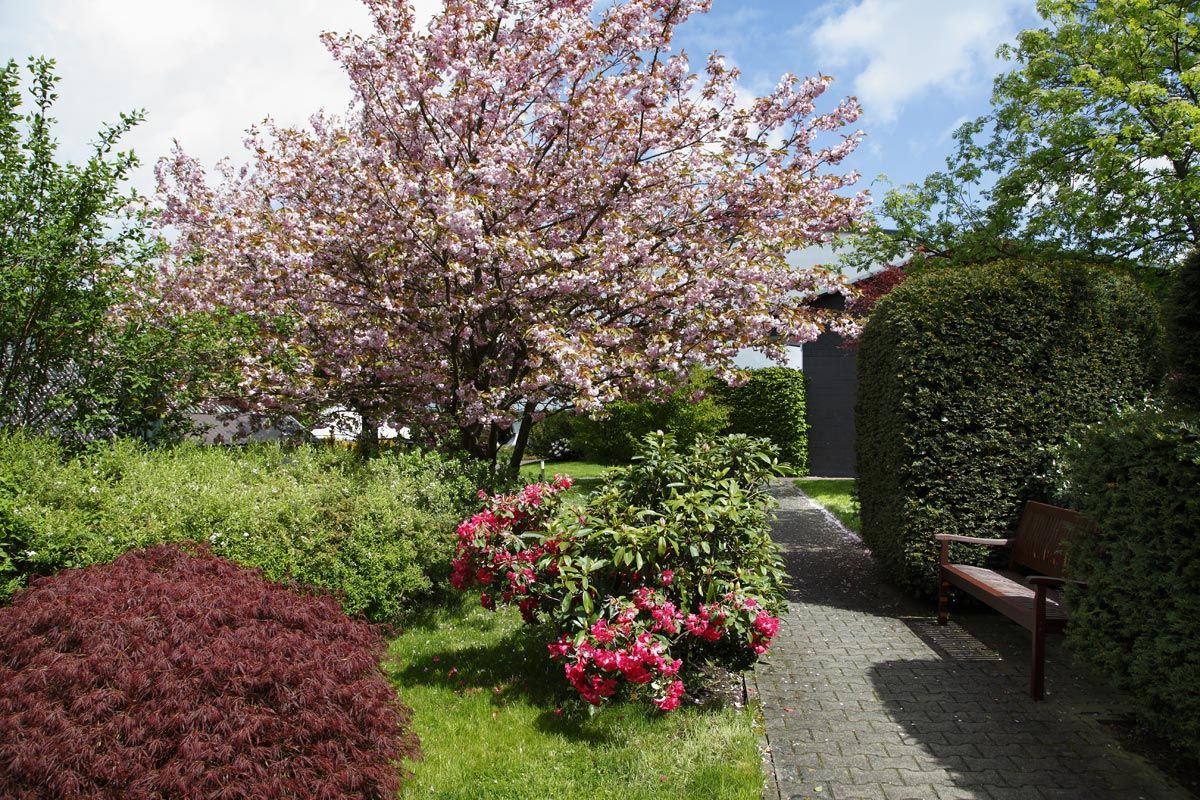 Hovedbildet