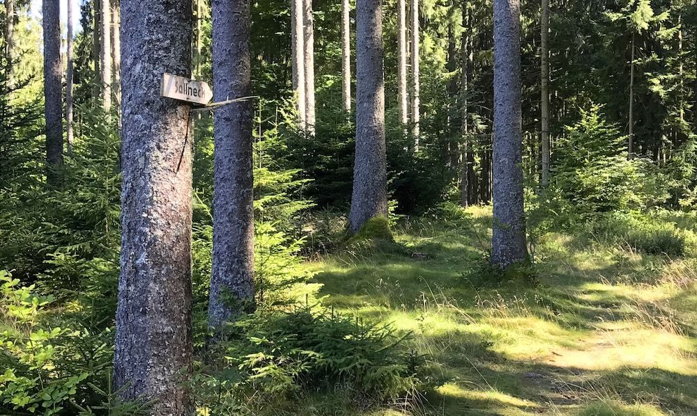 Generell