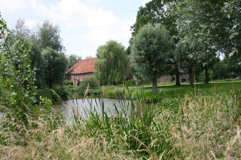 Omgivelser