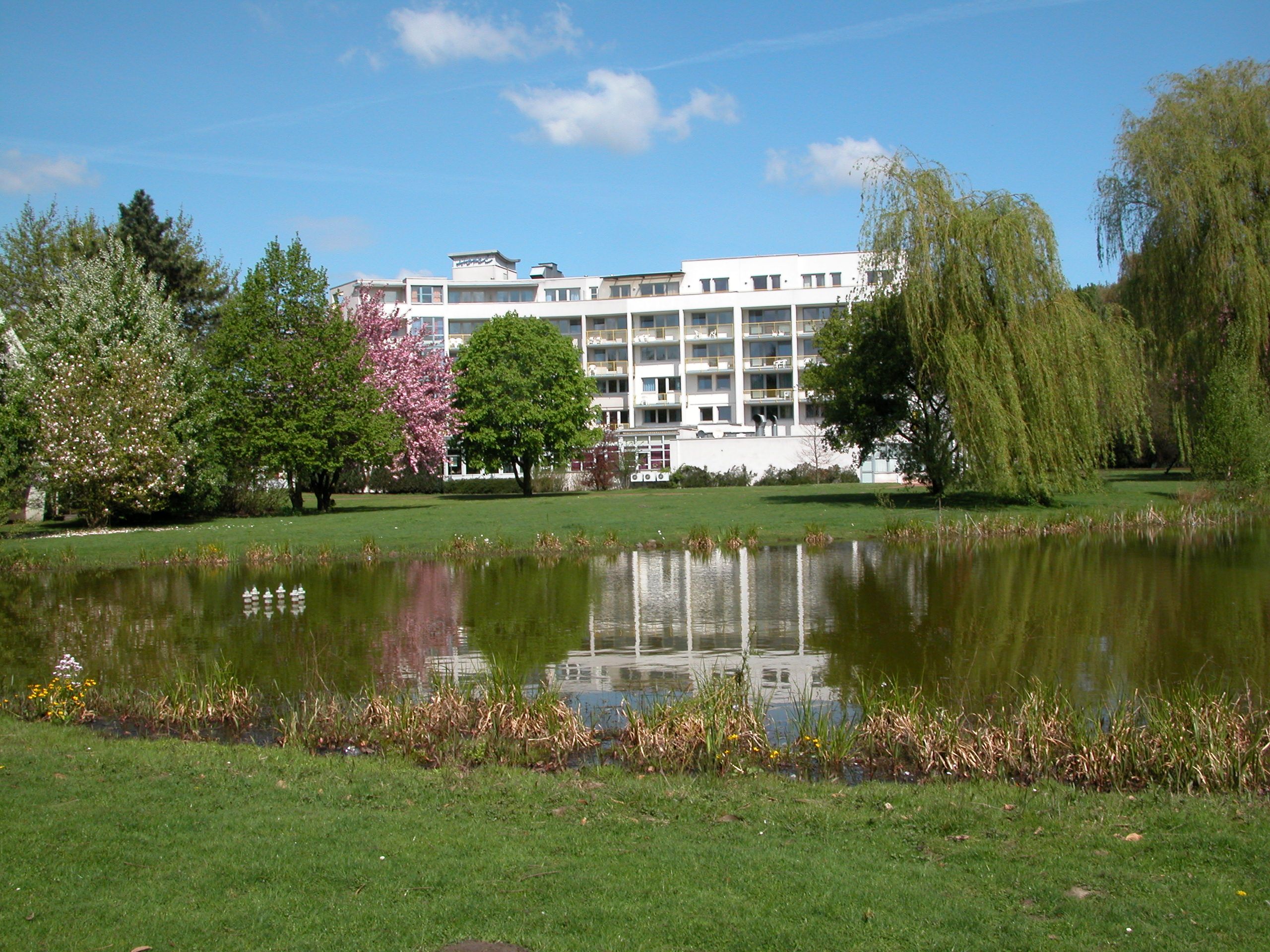 Forsiden