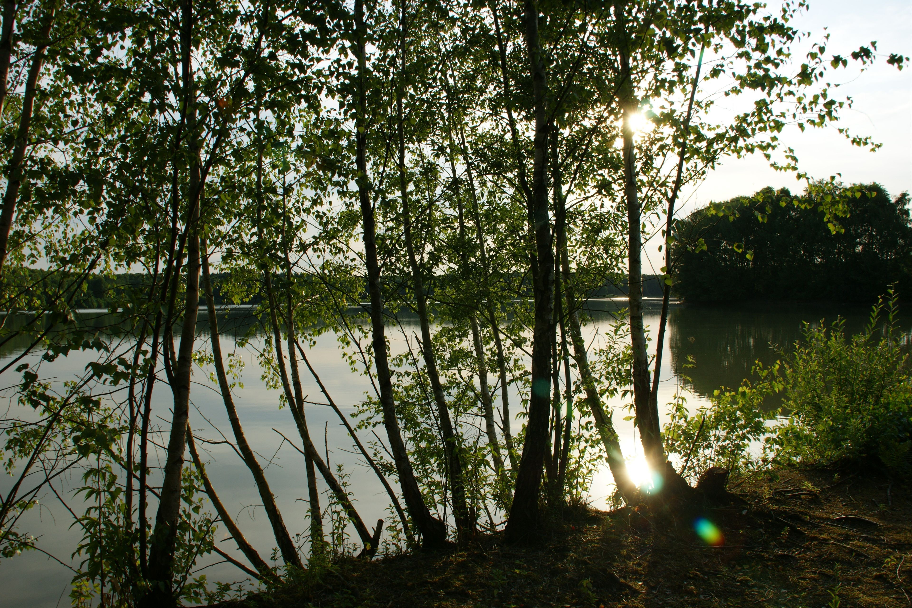 Omgivelser