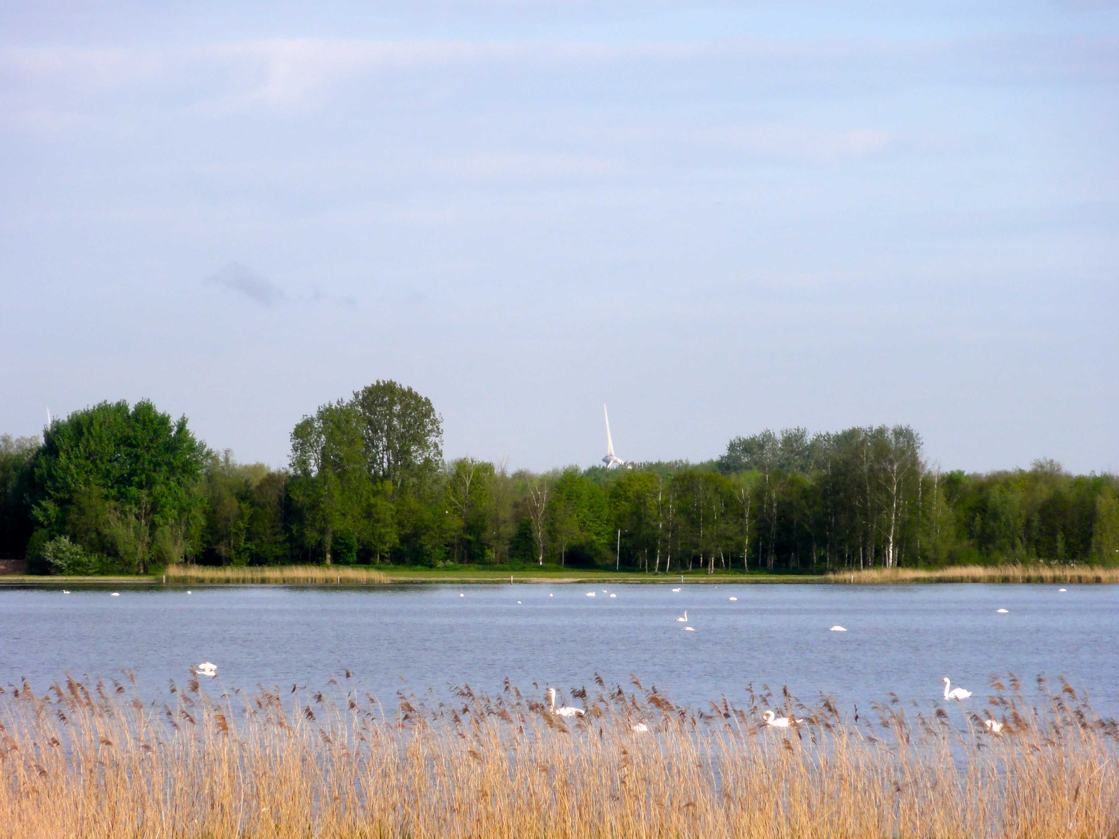 Omgivelser