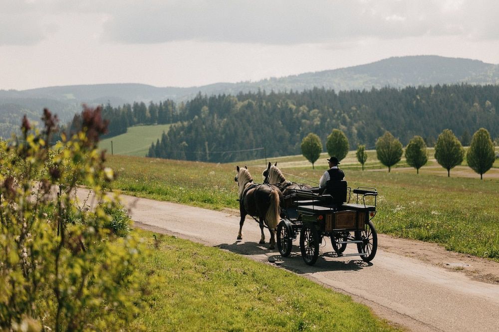 Generell