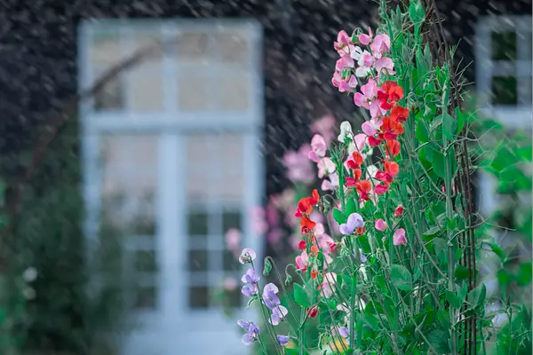 Villa Gransholm - Dobbeltrom (betales direkte) - GENERAL