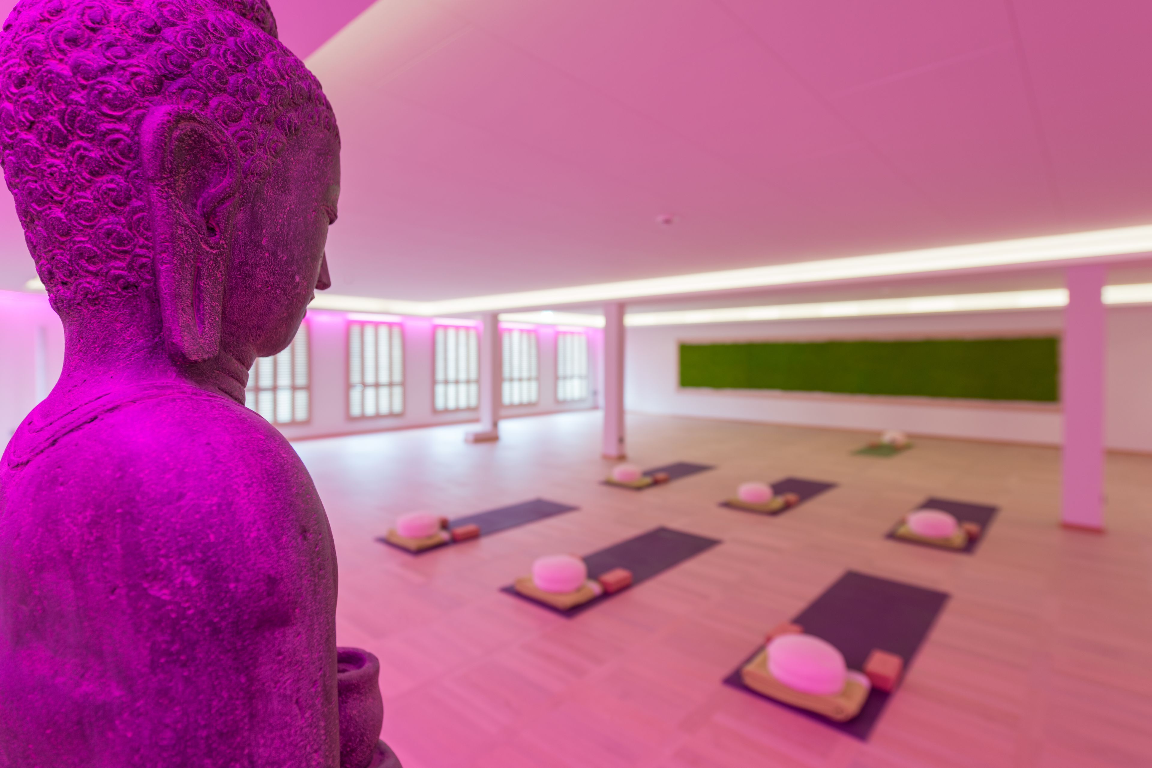 category_wellness