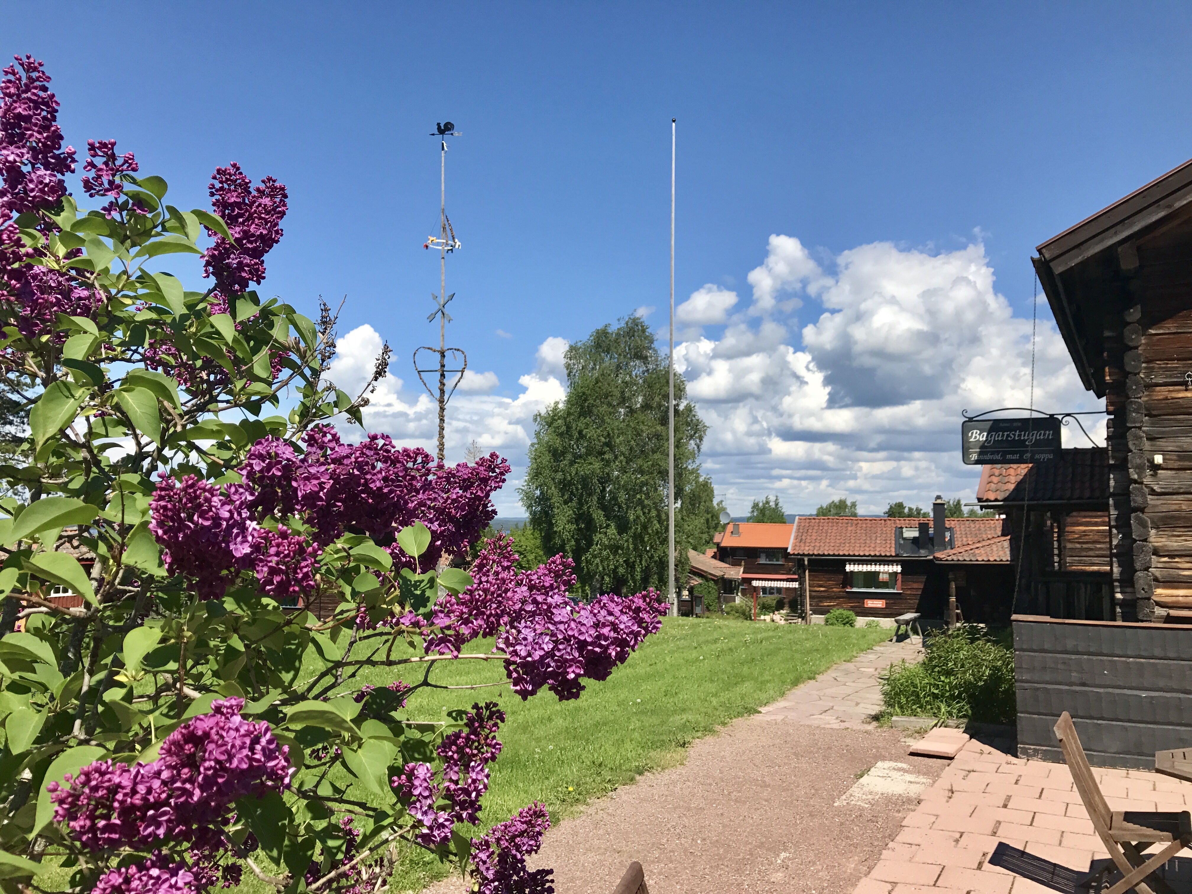 Omgivelser