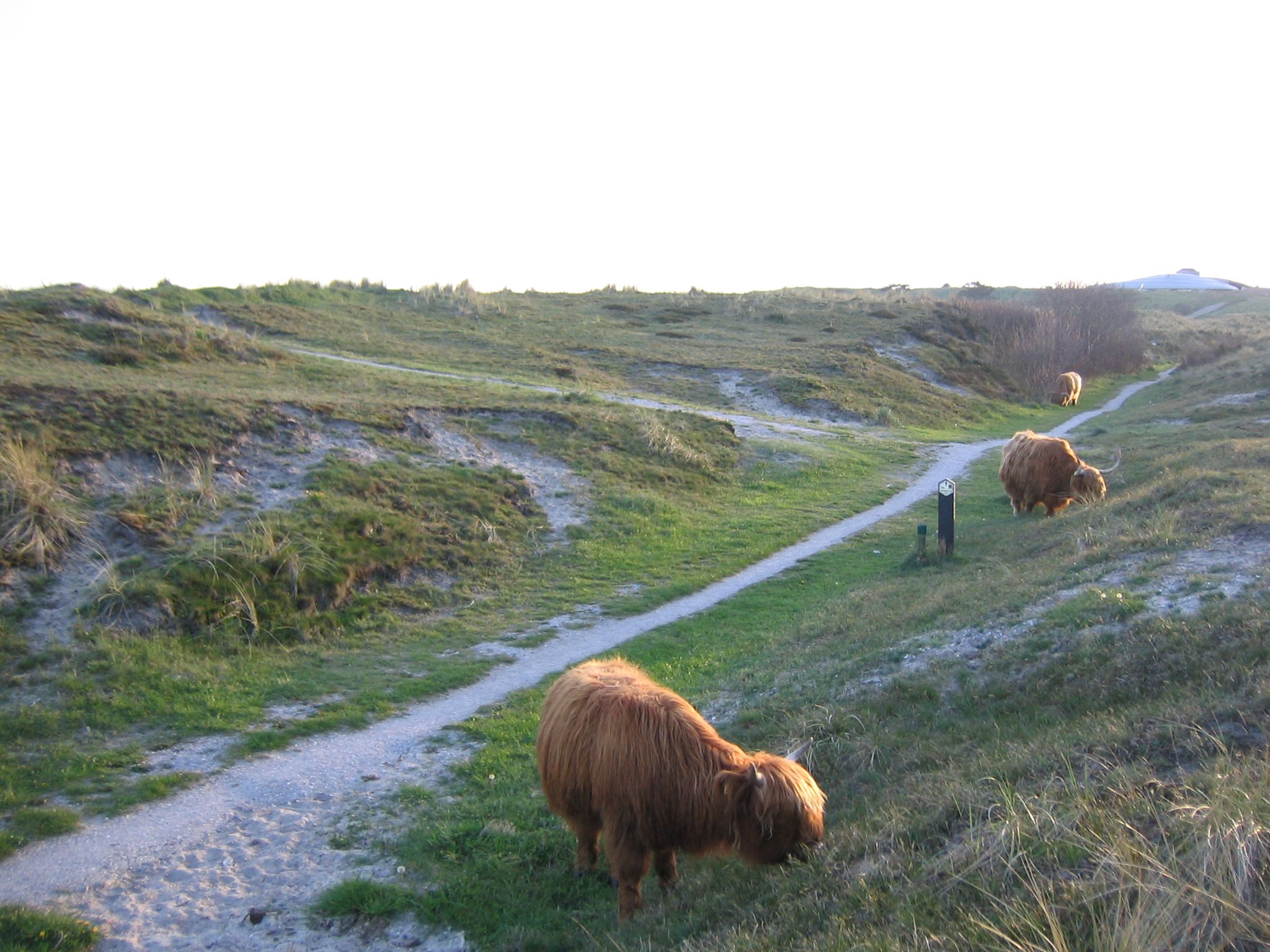 Omgivelser