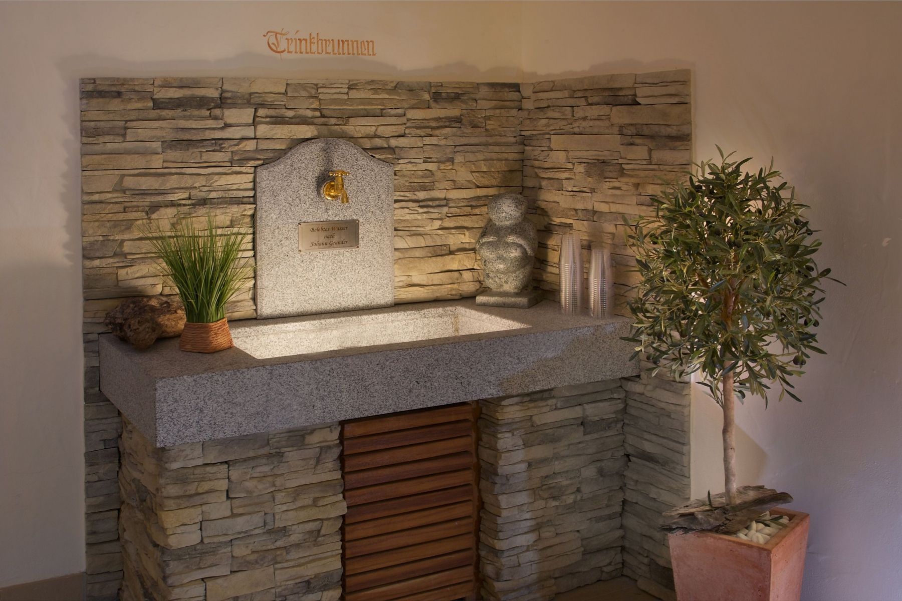 category_wellness