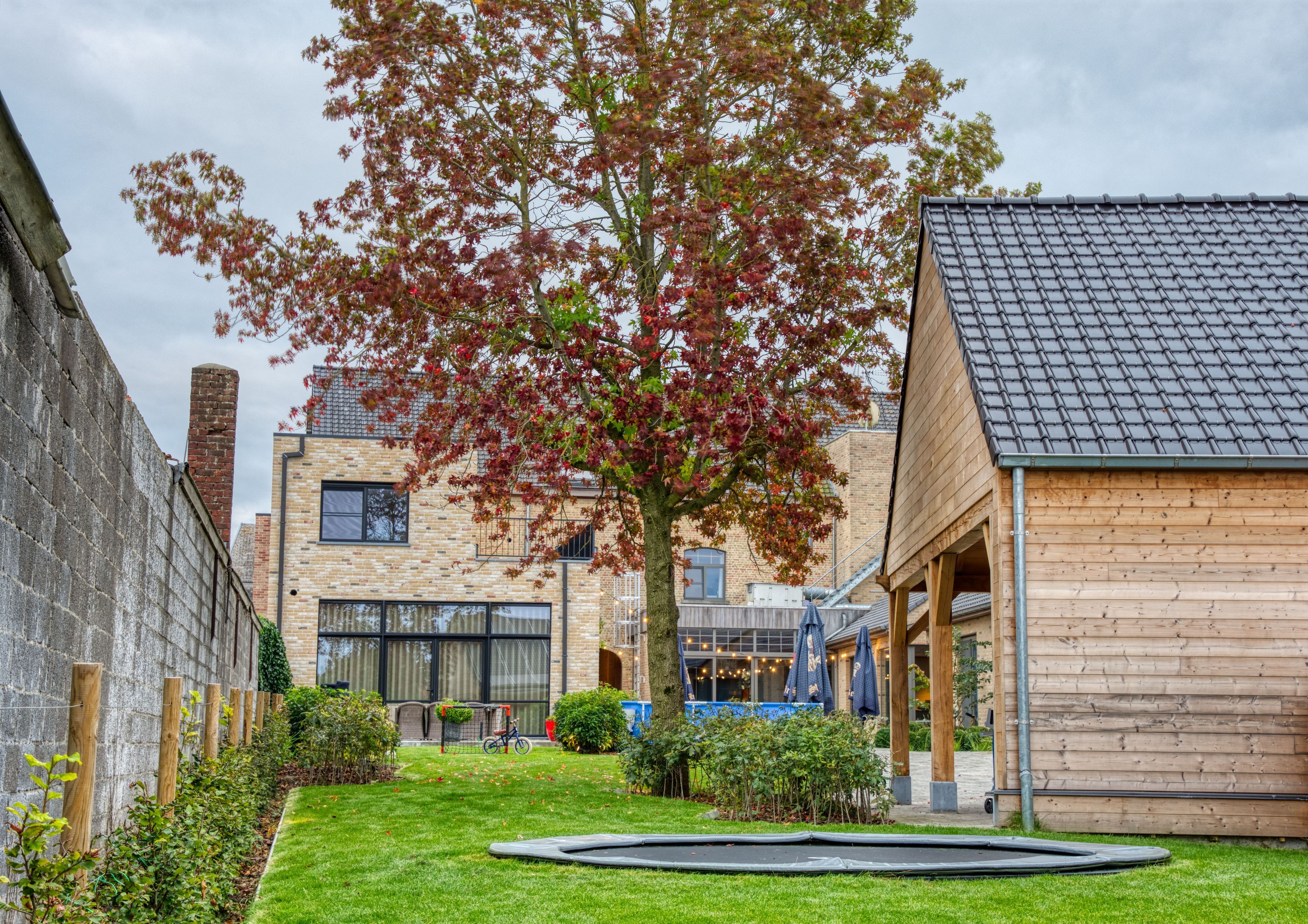 Hovedbildet