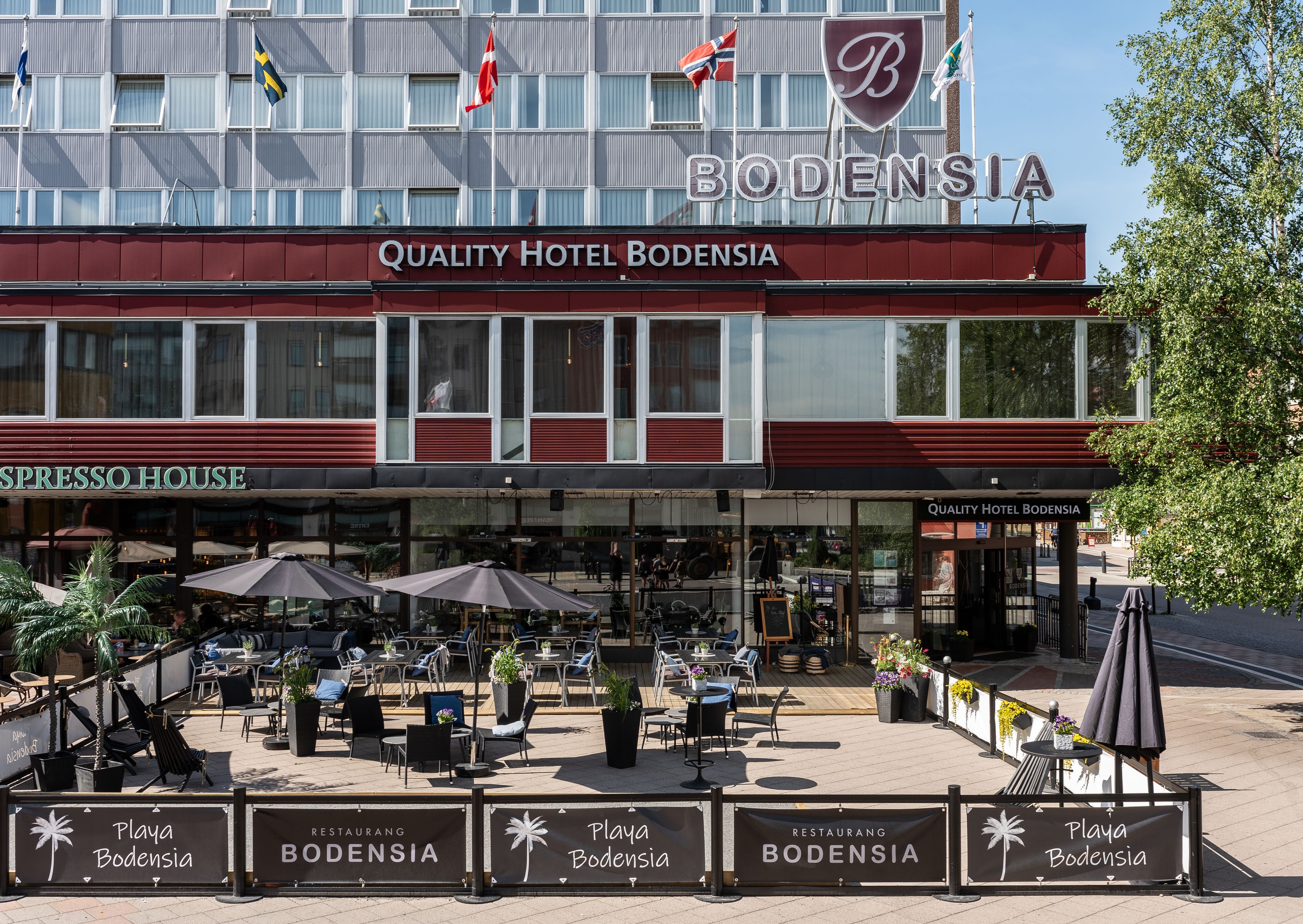 Forsiden
