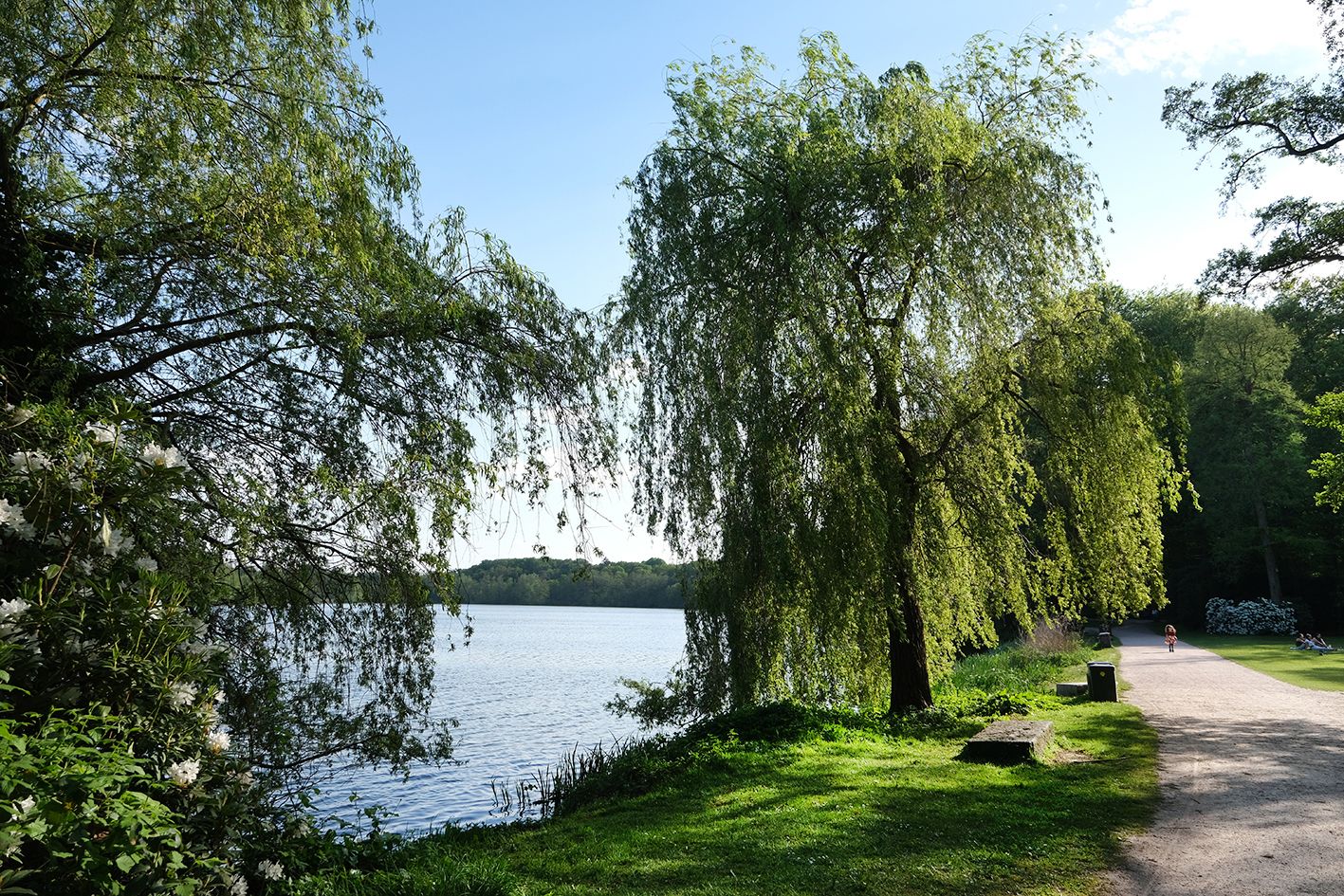 Omgivelser