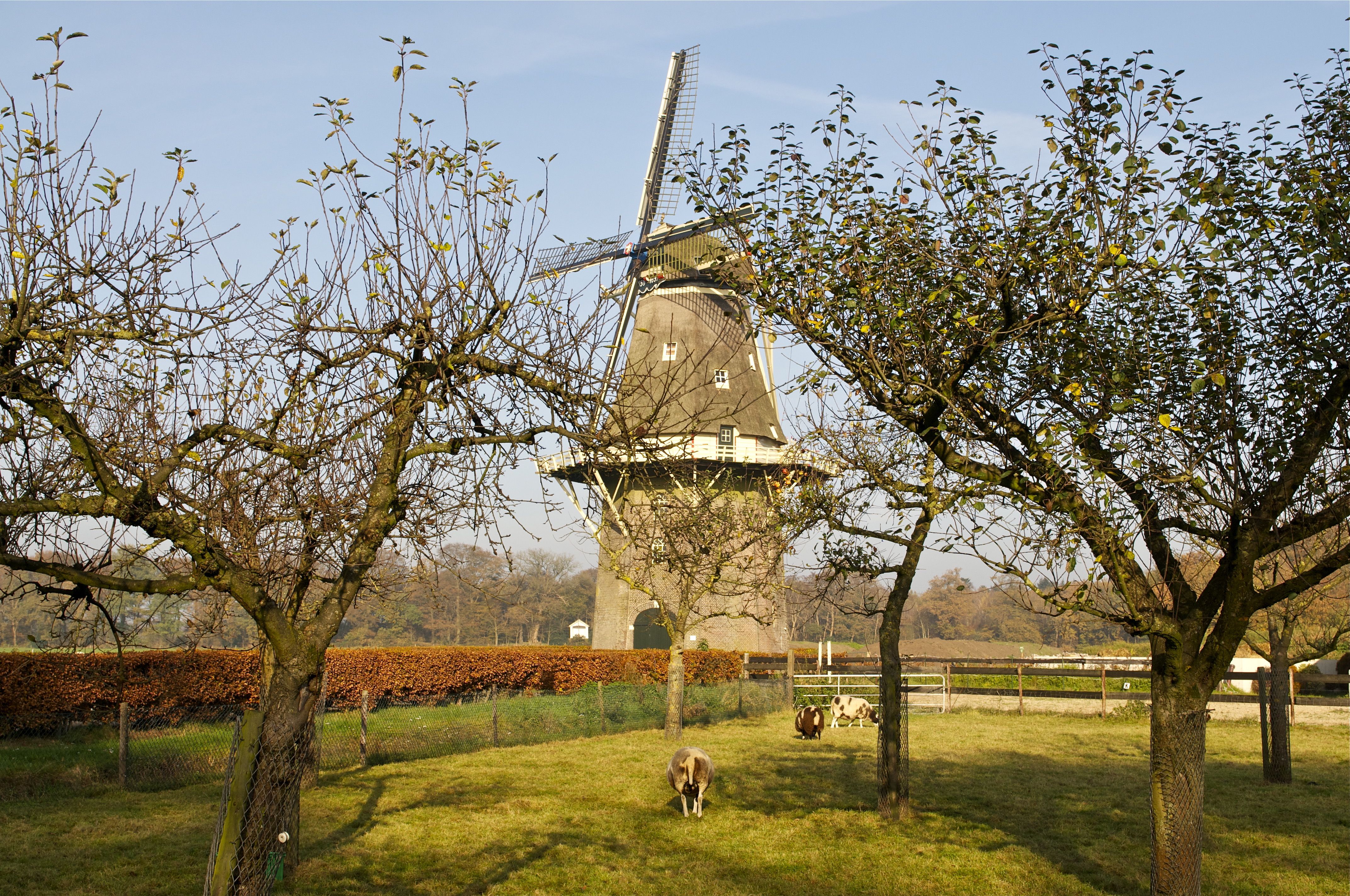 Omgivelser