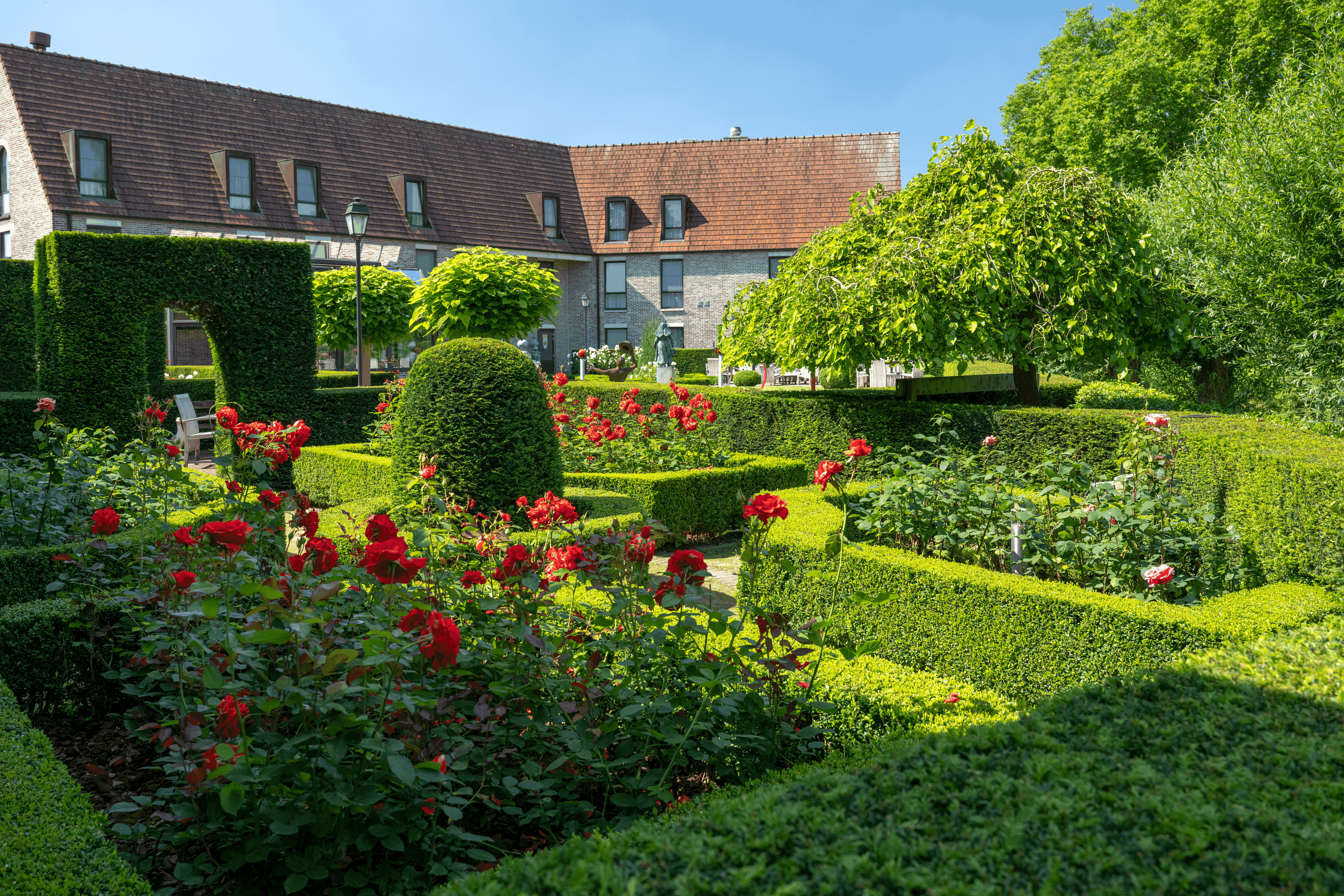 Hovedbildet