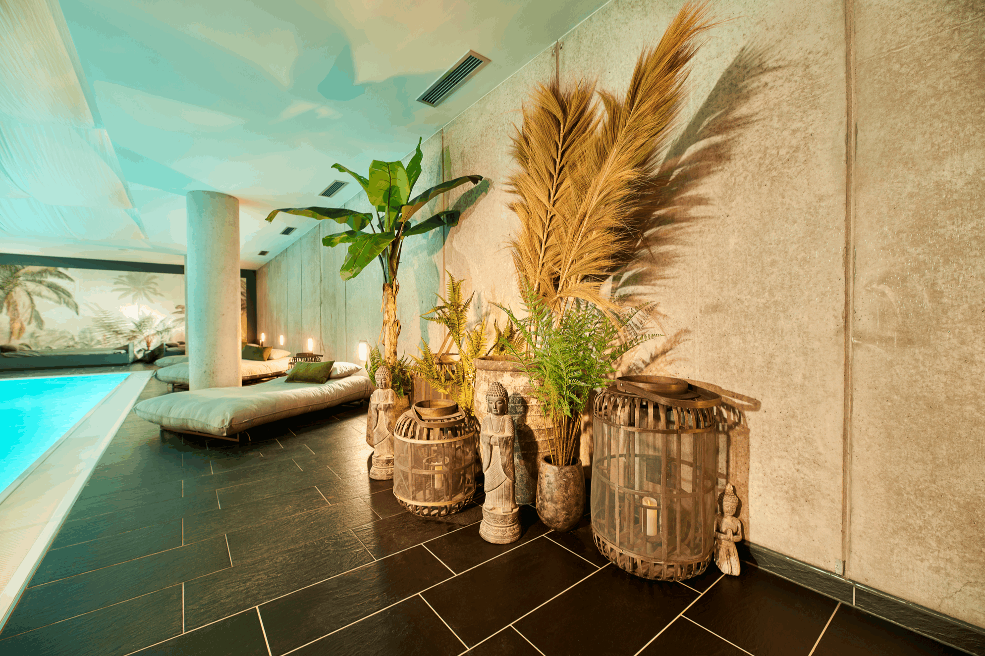 category_wellness