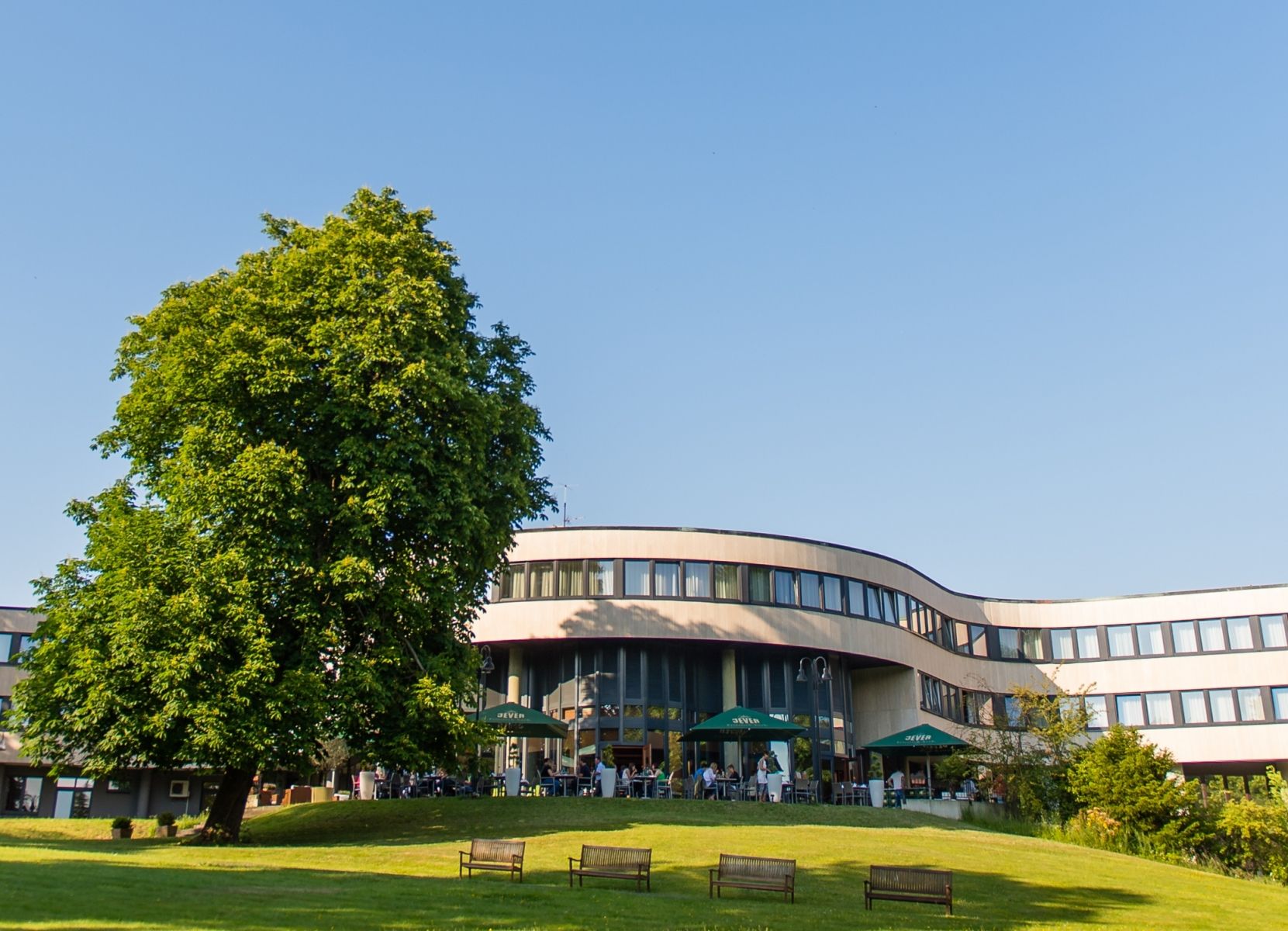 Hovedbildet
