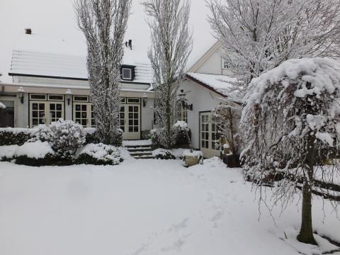 Annen