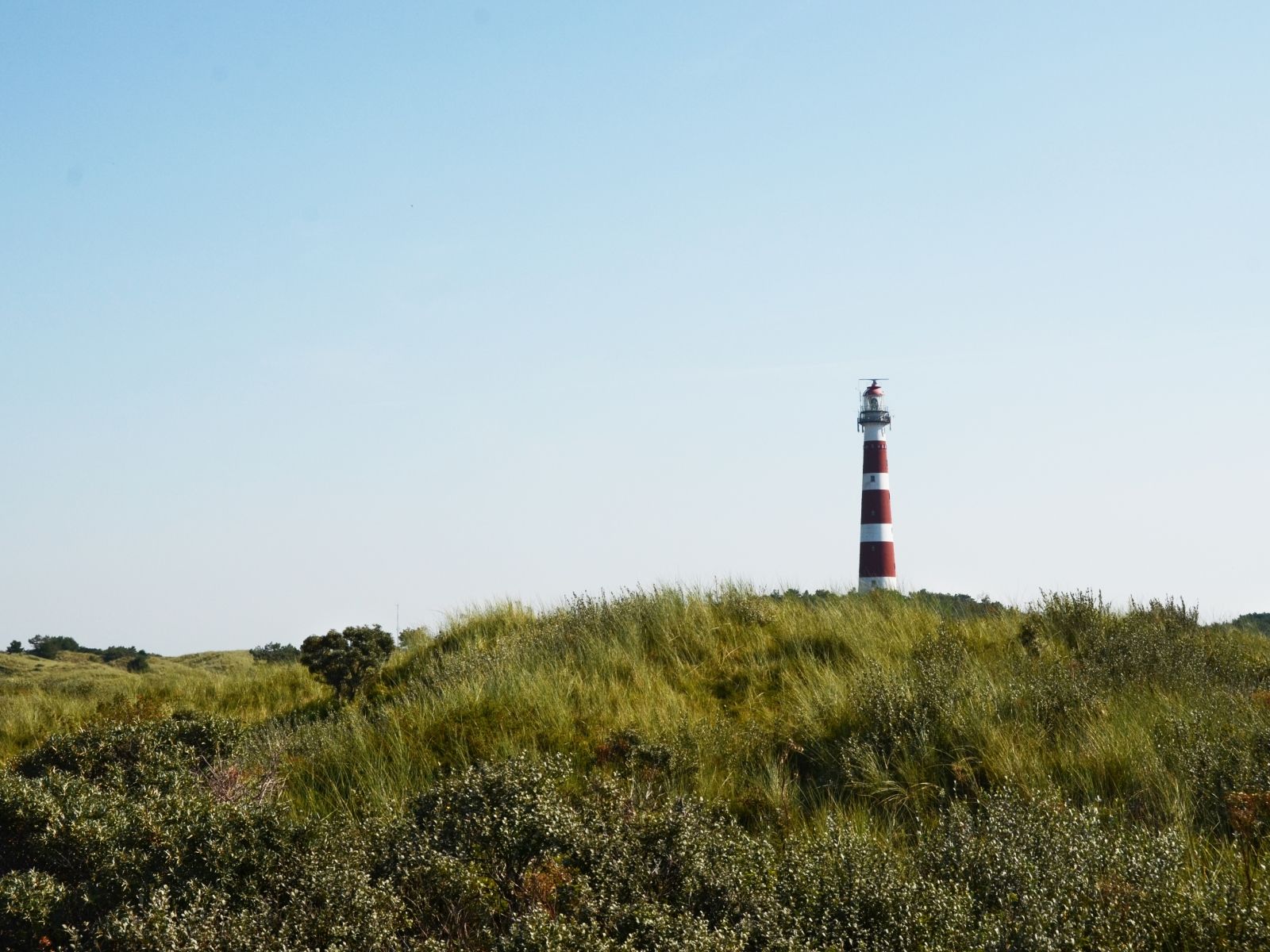Omgivelser