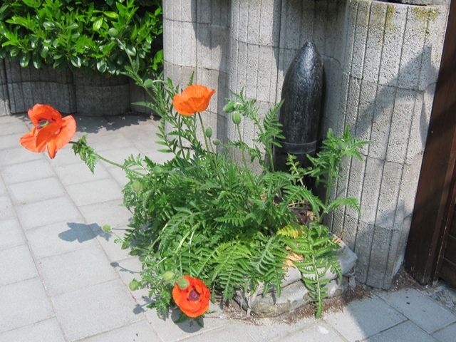 Annen