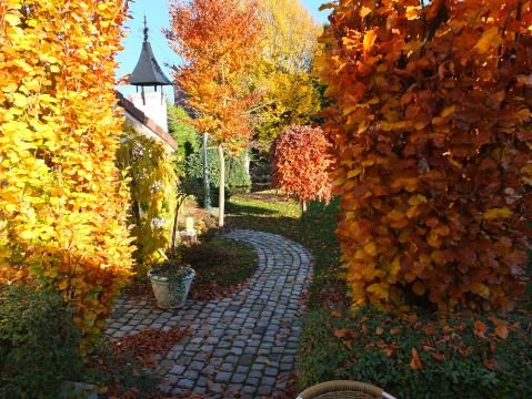 Annen