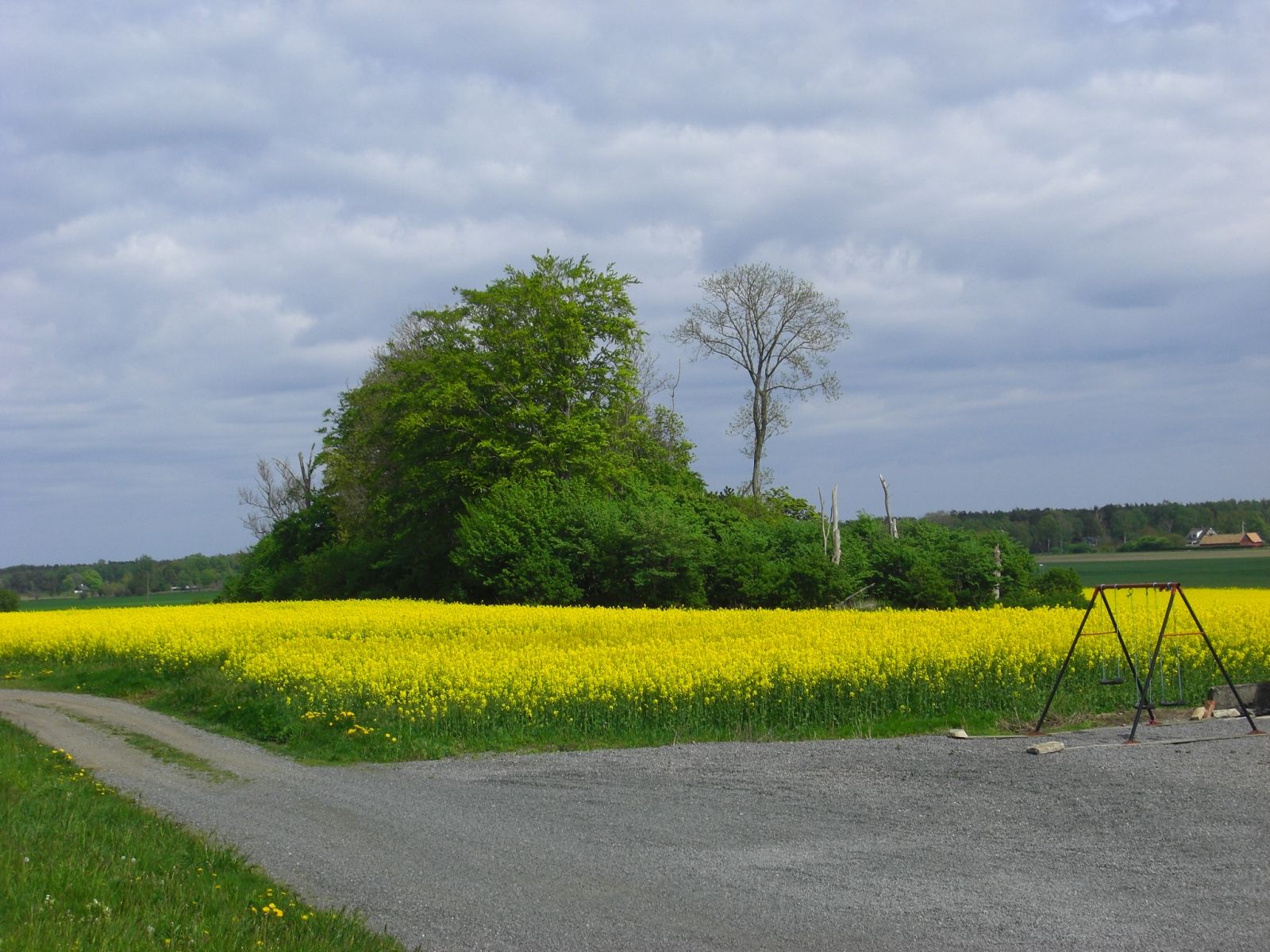 Annen