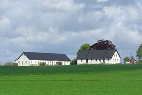 Forsiden
