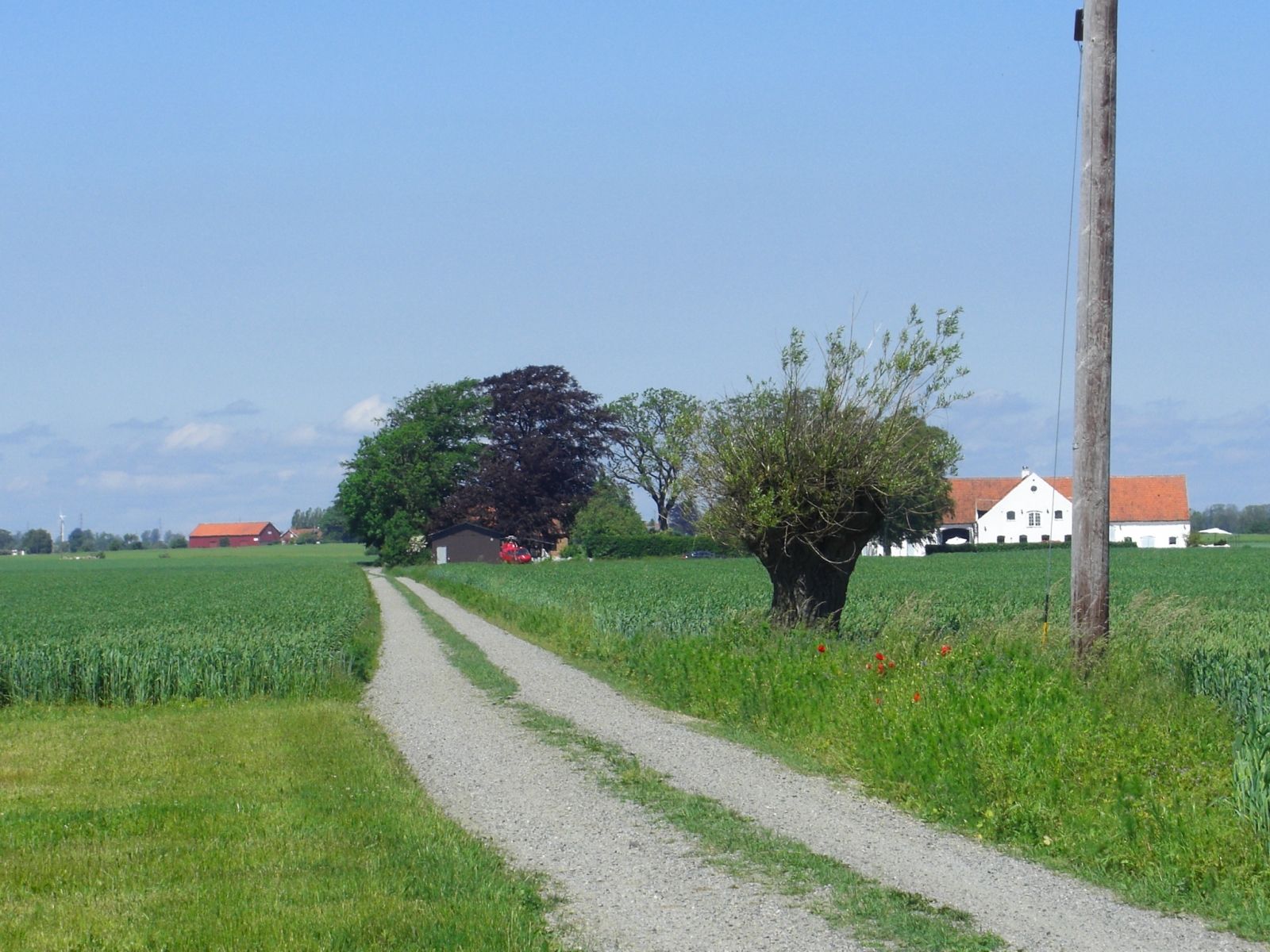 Annen