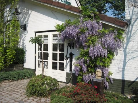 Annen
