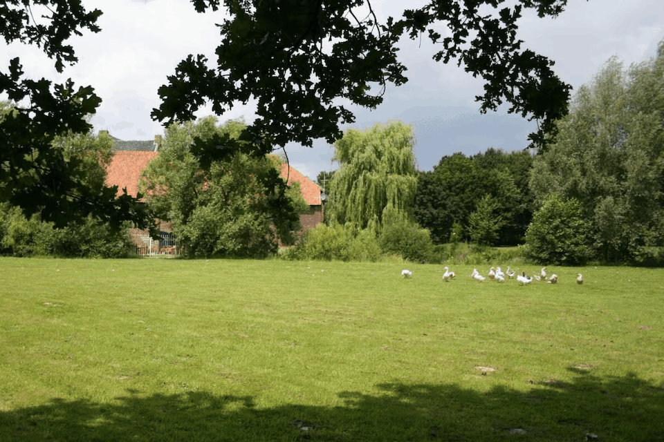 Omgivelser