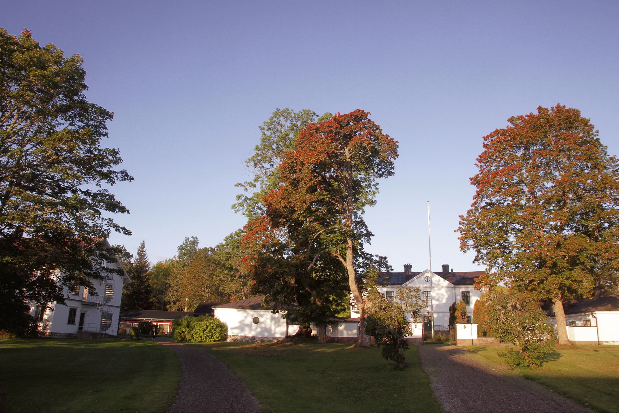 Forsiden