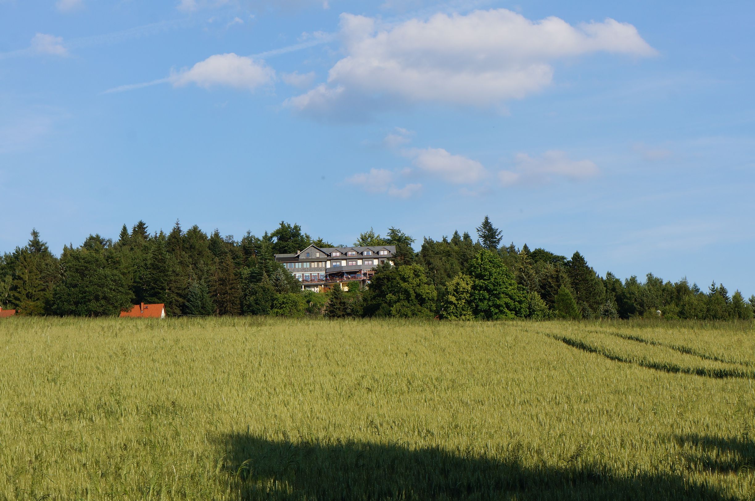 Forsiden