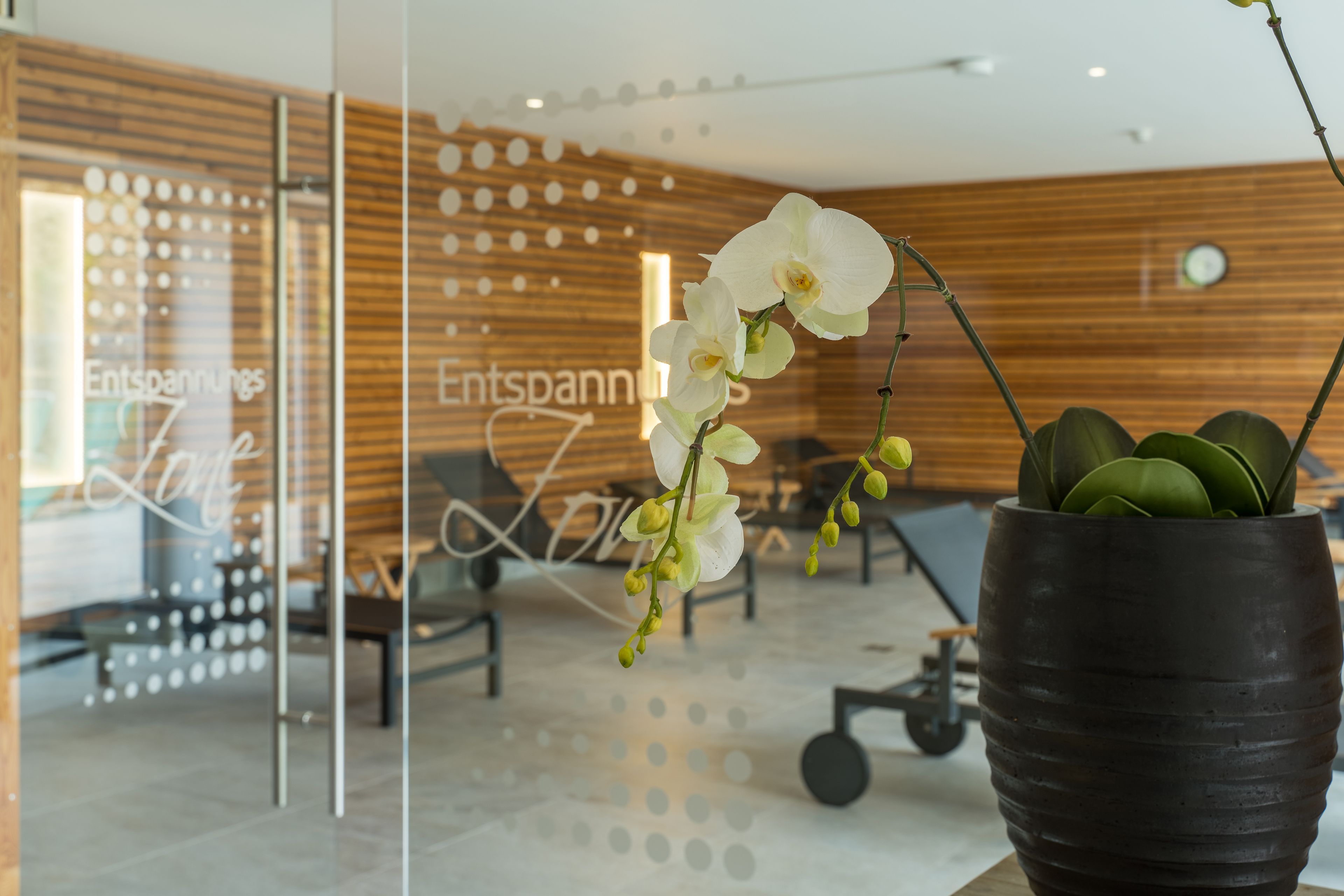 category_wellness
