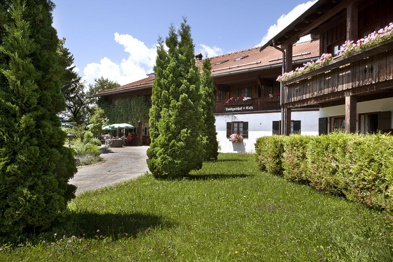 Hovedbildet