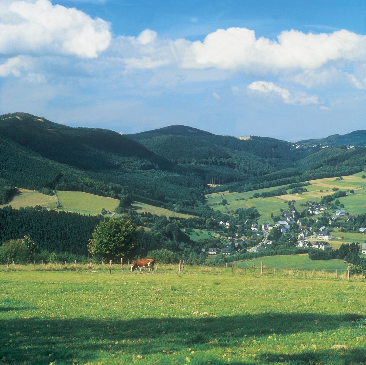 Omgivelser
