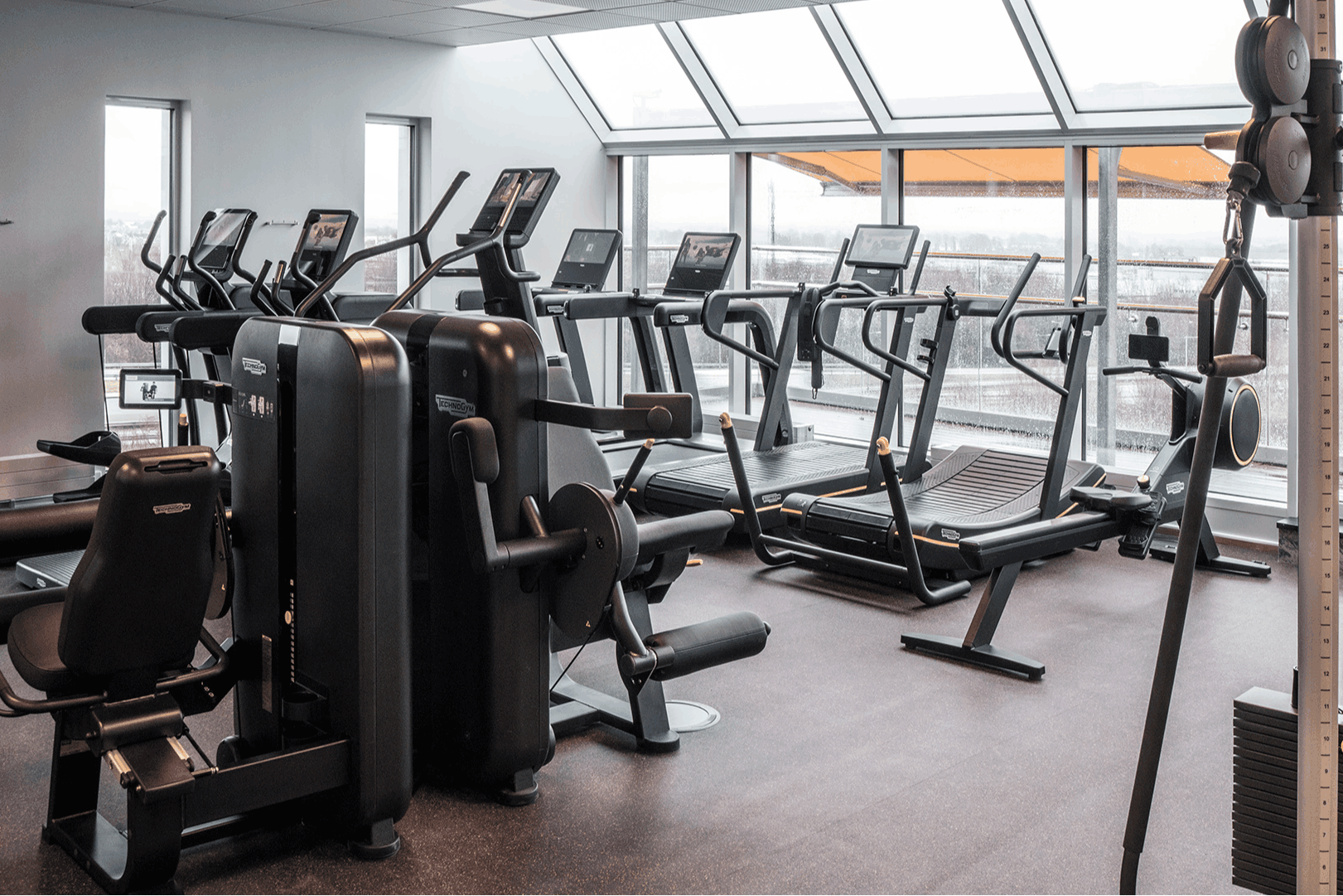 category_wellness
