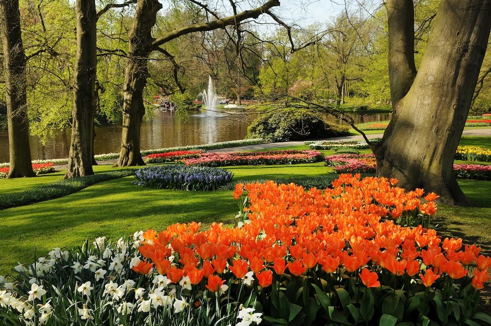 Generell