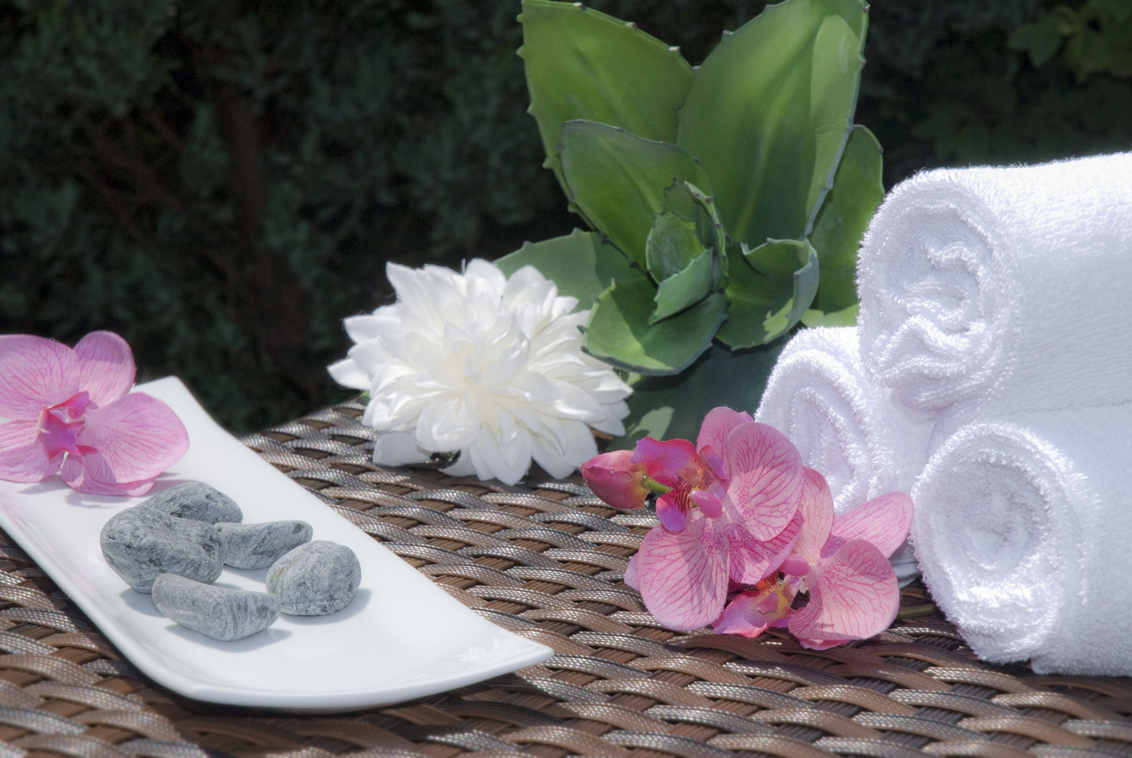 category_wellness