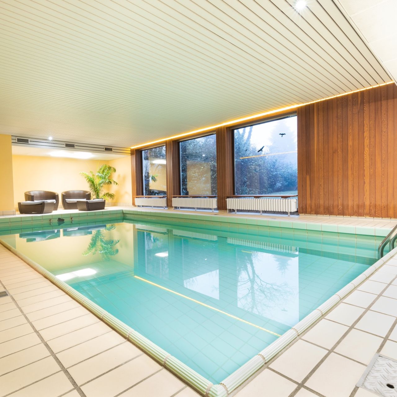 category_wellness